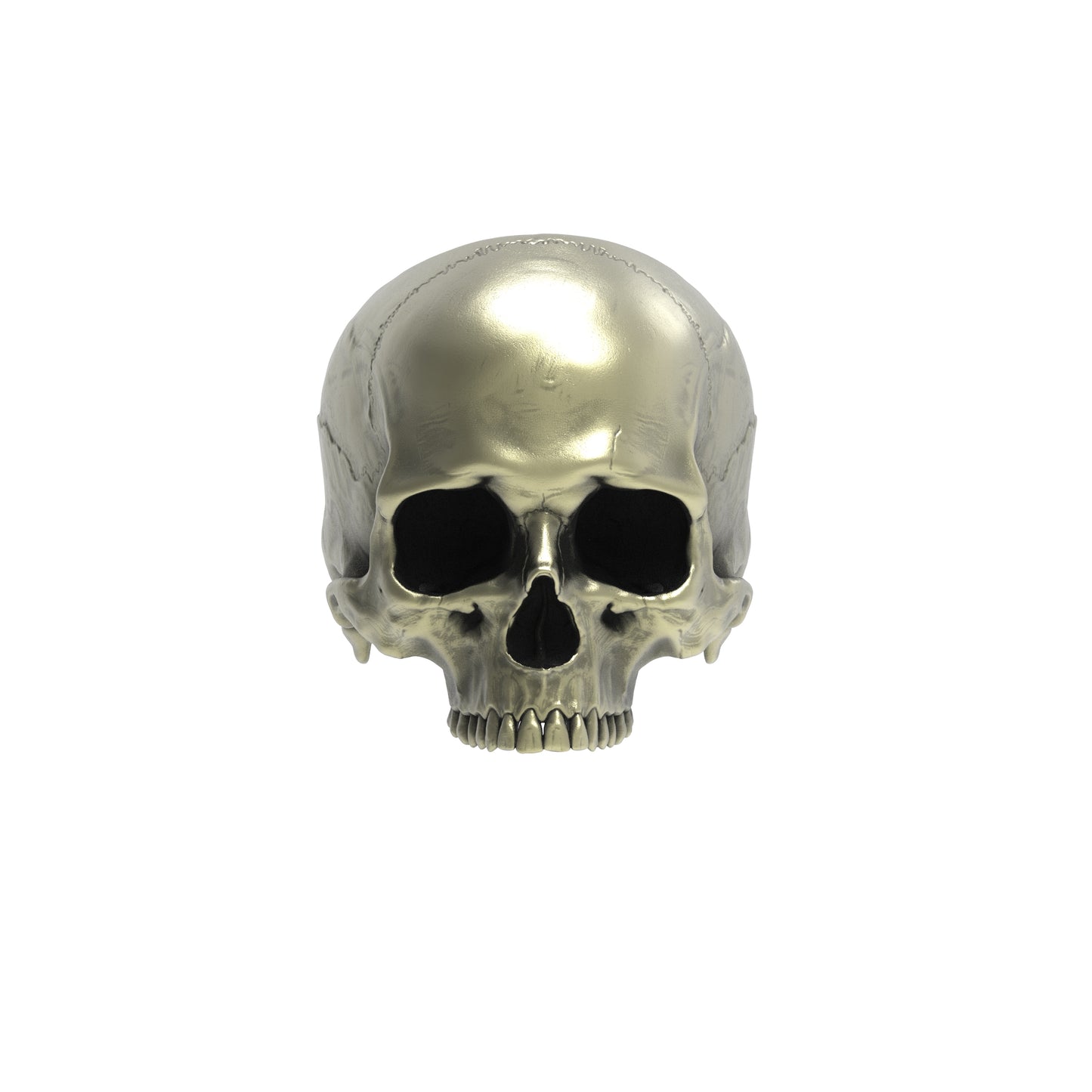 Brass Anatomical Half Jaw Skull Ring